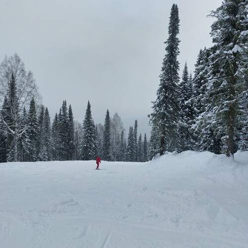 Photo #11962403