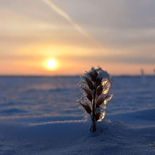 Photo #11962539