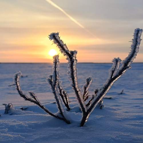 Photo #11962630