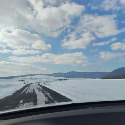 Photo #11962703