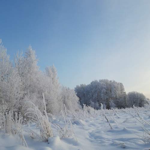 Photo #11962787