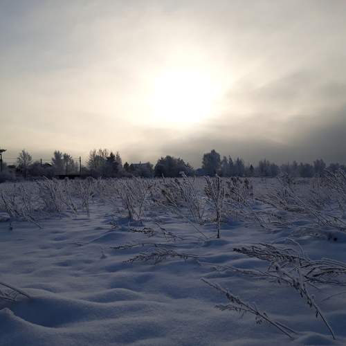 Photo #11962789