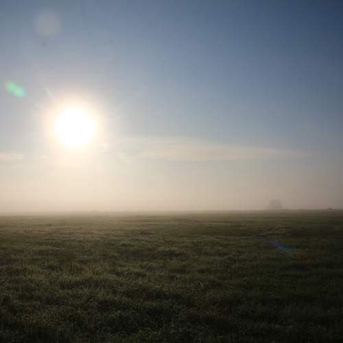 Photo #11962818