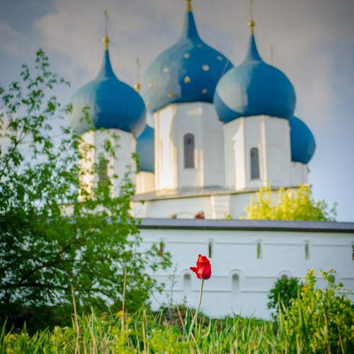 Photo #11962845