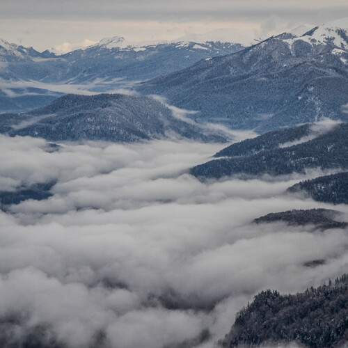 Photo #11963015