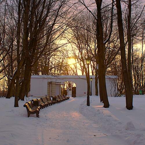 Photo #11963141