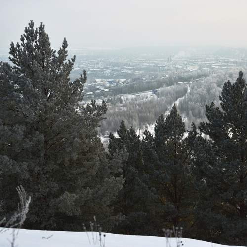 Photo #11963298