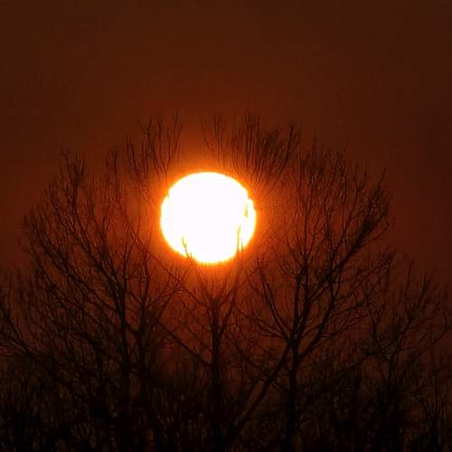 Photo #11963429