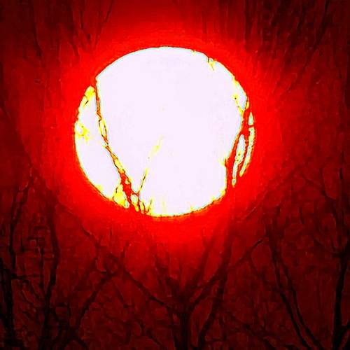Photo #11963468