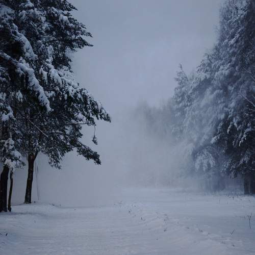 Photo #11963478