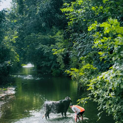 Photo #11963487