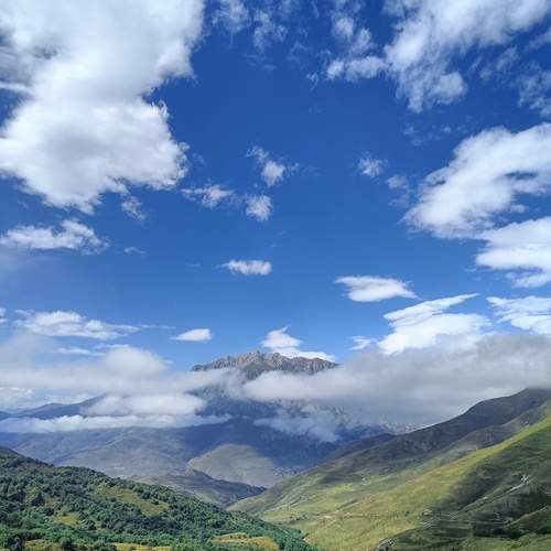 Photo #11963540