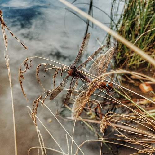 Photo #11963811