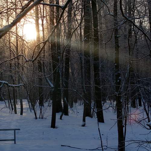 Photo #11963847