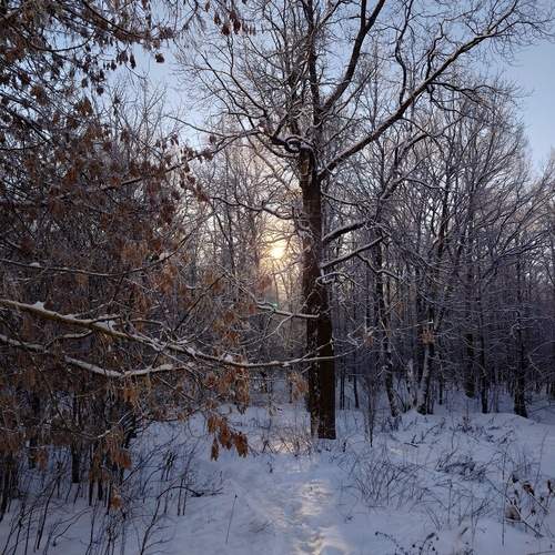 Photo #11963886