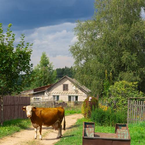 Photo #11964099