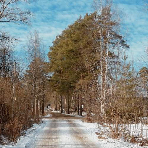 Photo #11964110