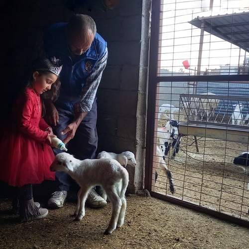 Photo #11964379