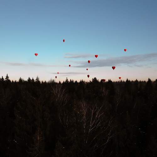 Photo #11964790
