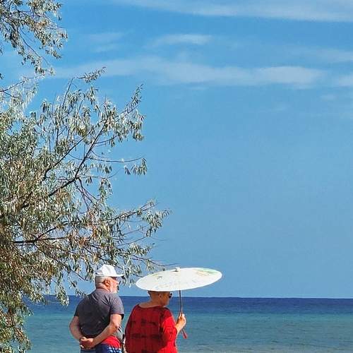 Photo #11965028
