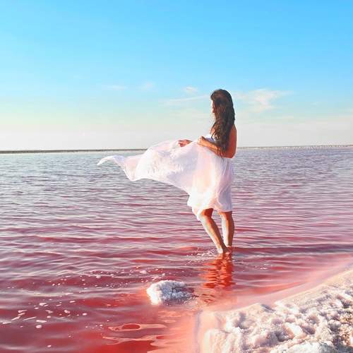 Photo #11965065