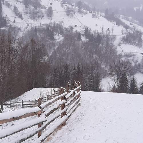 Photo #11965112