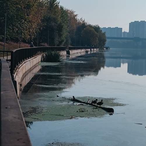 Photo #11965393