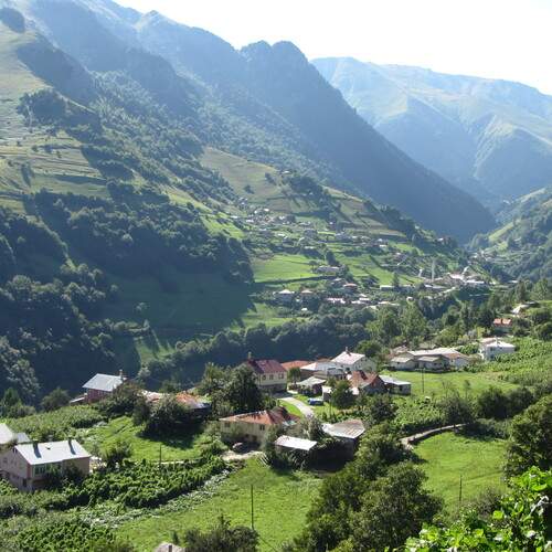 Photo #11965447
