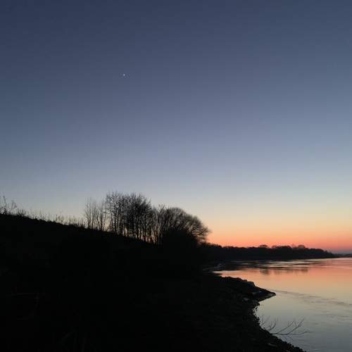 Photo #11965477