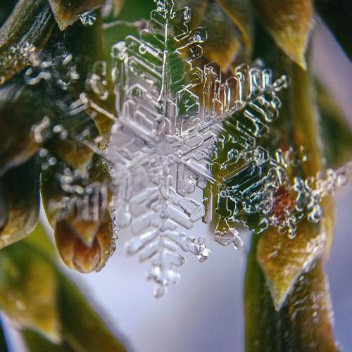 Photo #11965505