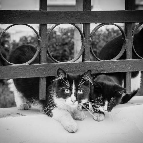 Photo #11965528