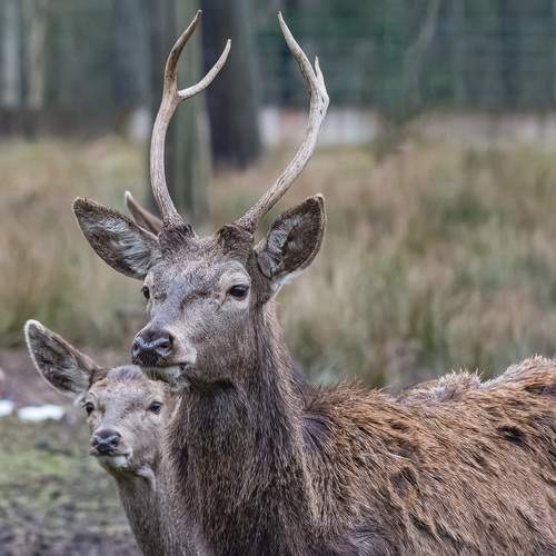 Photo #11965531