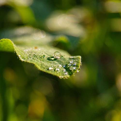 Photo #11965533