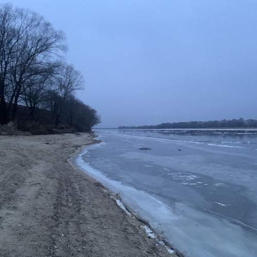 Photo #11965562