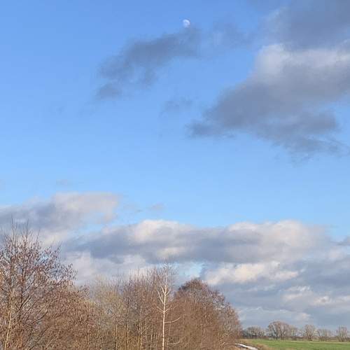 Photo #11965590