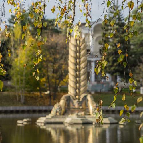 Photo #11965614