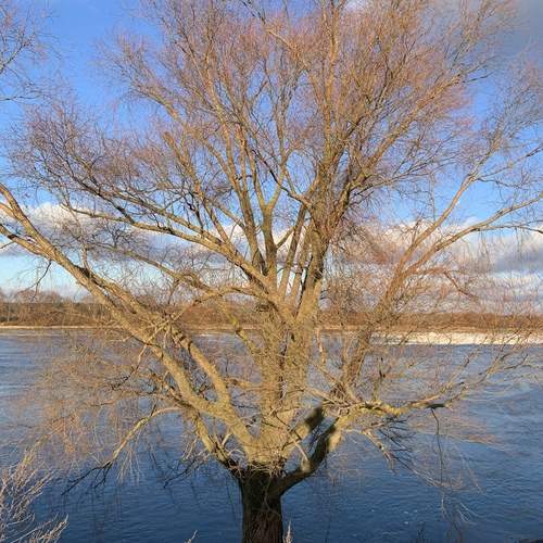 Photo #11965617