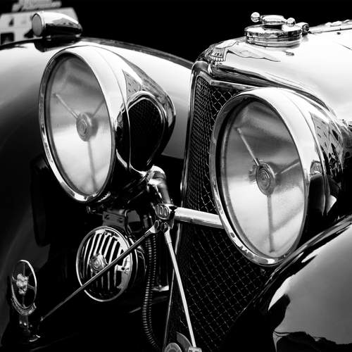 Photo #11965632