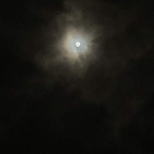 Photo #11965755