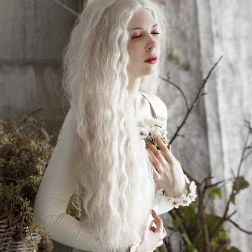 Photo #11965775