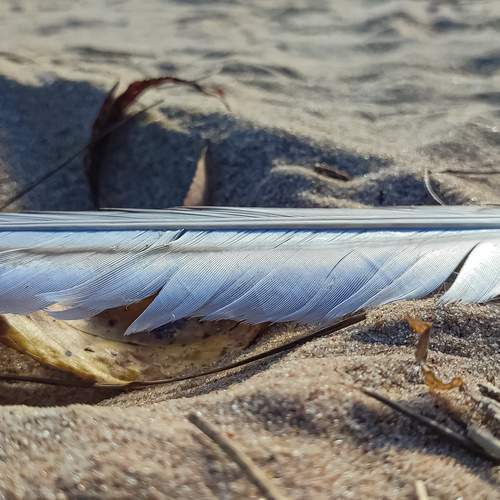 Photo #11965811
