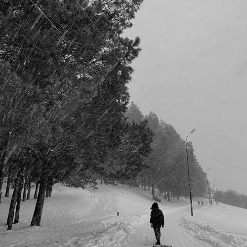 Photo #11965835