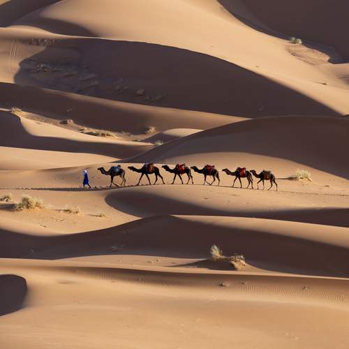 Sahara