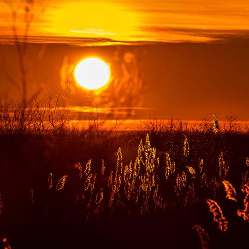 Photo #11966140
