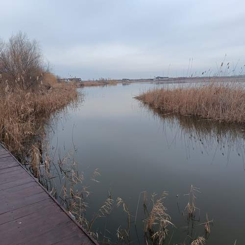 Photo #11966206
