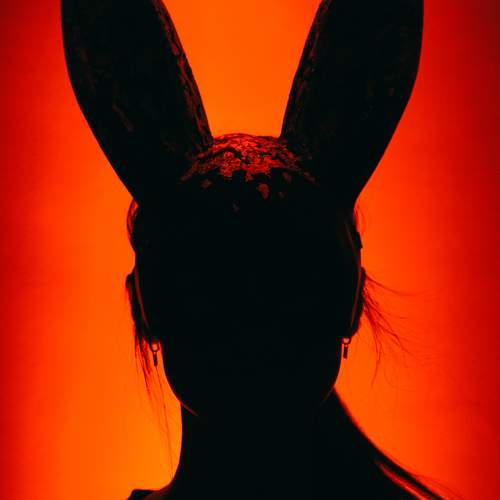 Photo #11966216