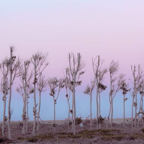 Photo #11966687