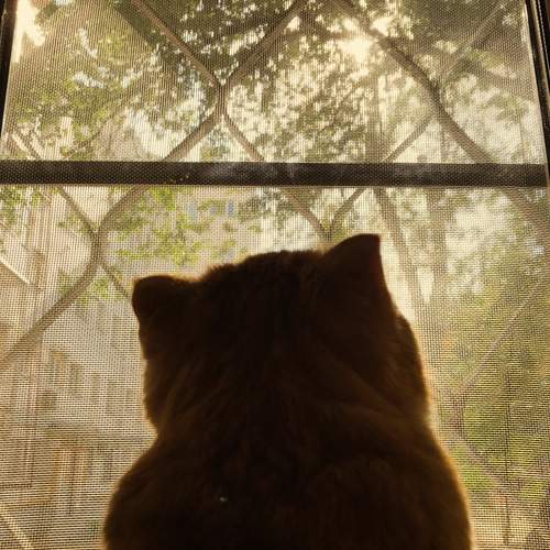 Photo #11966729