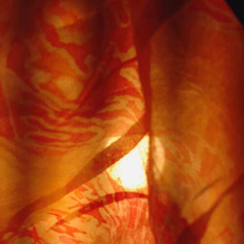 Photo #11966773