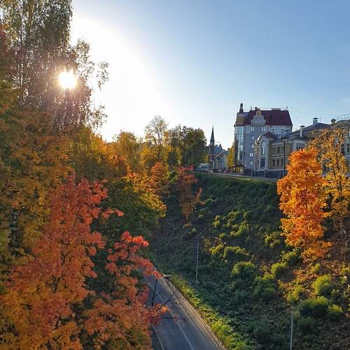 Photo #11966868